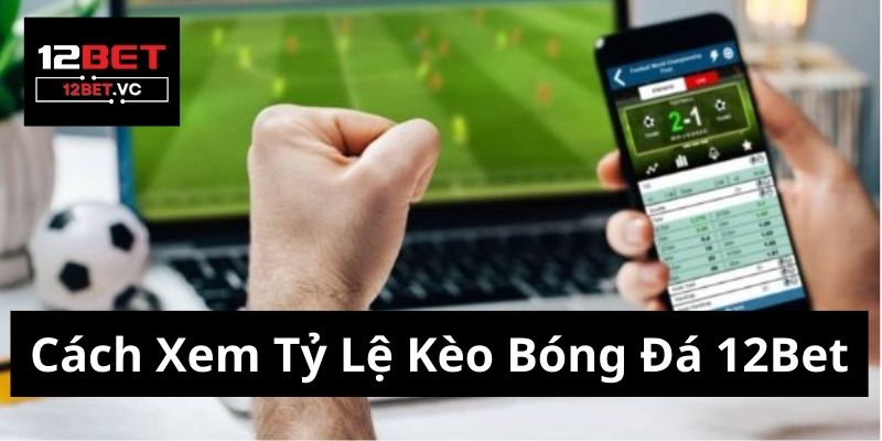 Cách xem tỷ lệ kèo bóng đá 12bet