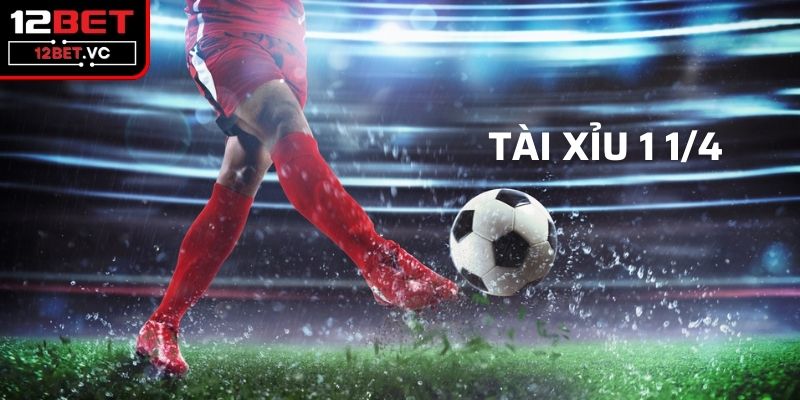 Đôi nét bạn nên biết về kèo tài xỉu 1 1/4