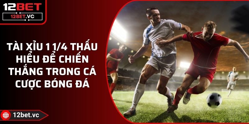 Tài Xỉu 1 1/4 Thấu Hiểu Để Chiến Thắng Trong Cá Cược Bóng Đá