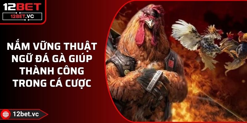 Nắm Vững Thuật Ngữ Đá Gà Giúp Thành Công Trong Cá Cược