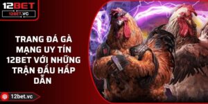 Trang Đá Gà Mạng Uy Tín 12BET Với Những Trận Đấu Hấp Dẫn