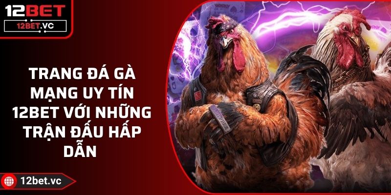 Trang Đá Gà Mạng Uy Tín 12BET Với Những Trận Đấu Hấp Dẫn